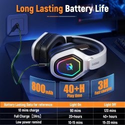 Hummingbird - Vector graphics